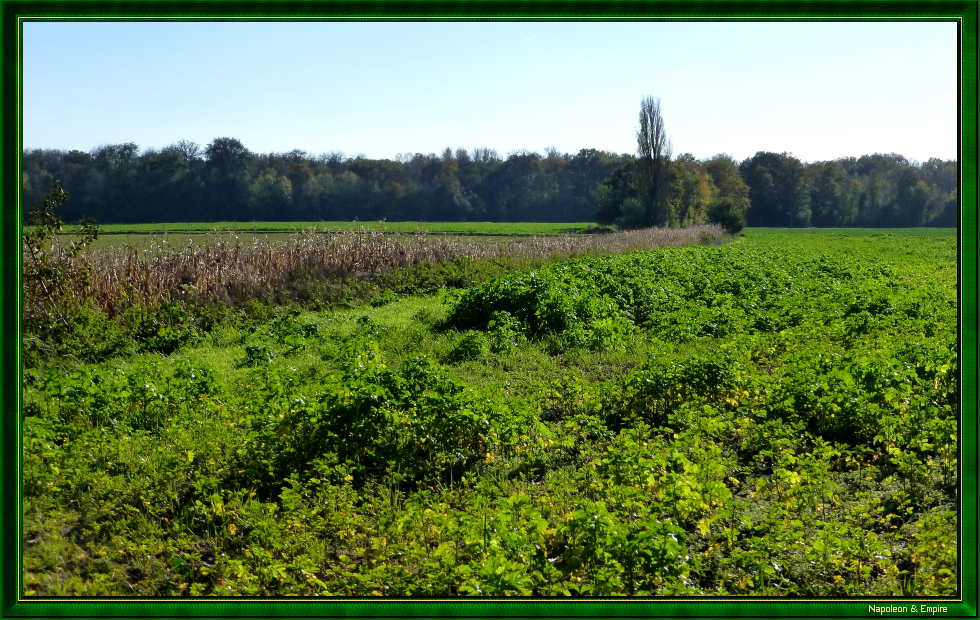 Environs de Grandpuits