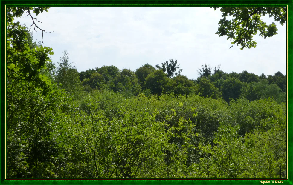 Les hauteurs de Ziegelhof